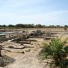 Vista del parco archeologico di Sibari