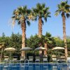 Piscina con lettini sotto palme.