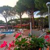 Piscina all'aperto circondata da sedie e tavoli, fiori rossi in primo piano e pineta sullo sfondo.