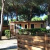 Bungalow di legno immerso in una pineta, circondato da una staccionata e arbusti verdi.