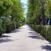 Sentiero alberato tra cespugli e strutture verdi.