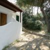 Piccolo bungalow bianco con porta in legno, circondato da alberi e vegetazione.