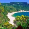 Spiaggia bianca circondata da colline verdi e piante colorate.