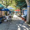 Un'area campeggio con tende, sedie e ombrelloni colorati.