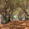 Un'area campeggio con caravan e tende tra alberi ad alto fusto.