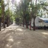 Sentiero alberato con camper e lampioni.