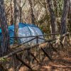 Una tenda blu visibile tra alberi alti, affiancata da una staccionata di legno.