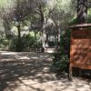 Insegna in un campeggio tra alberi e sentieri ombreggiati.
