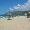 Spiaggia sabbiosa con ombrelloni verdi, capanni, bici e mare azzurro.