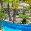 Piscina con palme e lettini all'aperto.