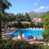 Una piscina con lettini e ombrelloni blu, circondata da palme e vegetazione.