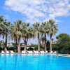 Piscina all'aperto con sedie a sdraio e palme.