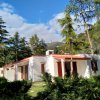 Casa bianca circondata da alberi e vegetazione.