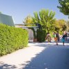 Persone camminano lungo un viale fiancheggiato da cespugli e alberi.