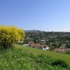 Vista panoramica su un paesaggio collinare con un cespuglio di fiori gialli e case distanti.