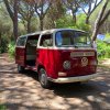 Furgone Volkswagen rosso parcheggiato in una zona boscosa con alberi alti.