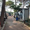 Stradina tra case mobili, con alberi e una carrozzina blu sul lato destro.