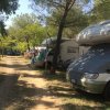 Area campeggio con camper parcheggiati lungo un sentiero alberato.