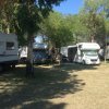 Roulotte parcheggiate sotto alberi in un campeggio ombreggiato.