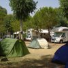 Campo con tende e camper tra alberi verdi.