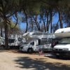 Camper parcheggiati tra alberi lungo un sentiero ombreggiato.