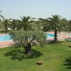 Piscina con palme e prato curato.