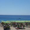 Spiaggia con ombrelloni gialli e verdi e molte persone.
