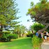 Persone che passeggiano in un giardino con palme e pini.