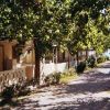 Vialetto ombreggiato con bungalow ai lati, piante e alberi.