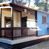 Una casetta in legno blu con veranda, situata in una zona alberata.