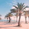 Palme lungo un lungomare soleggiato con vista sul mare.