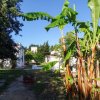 Giardino con piante verdi, una casa bianca e cielo sereno sullo sfondo.