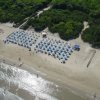 Vista aerea di una spiaggia con ombrelloni blu e bianco, vicino a una pineta verde.